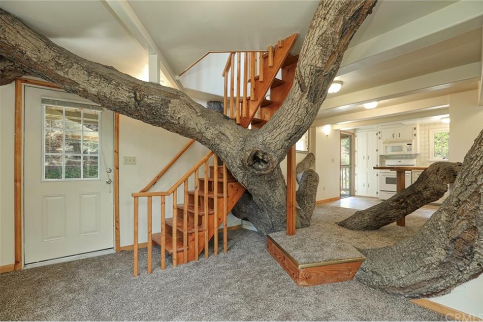 pismo beach tree house zillow gone wild