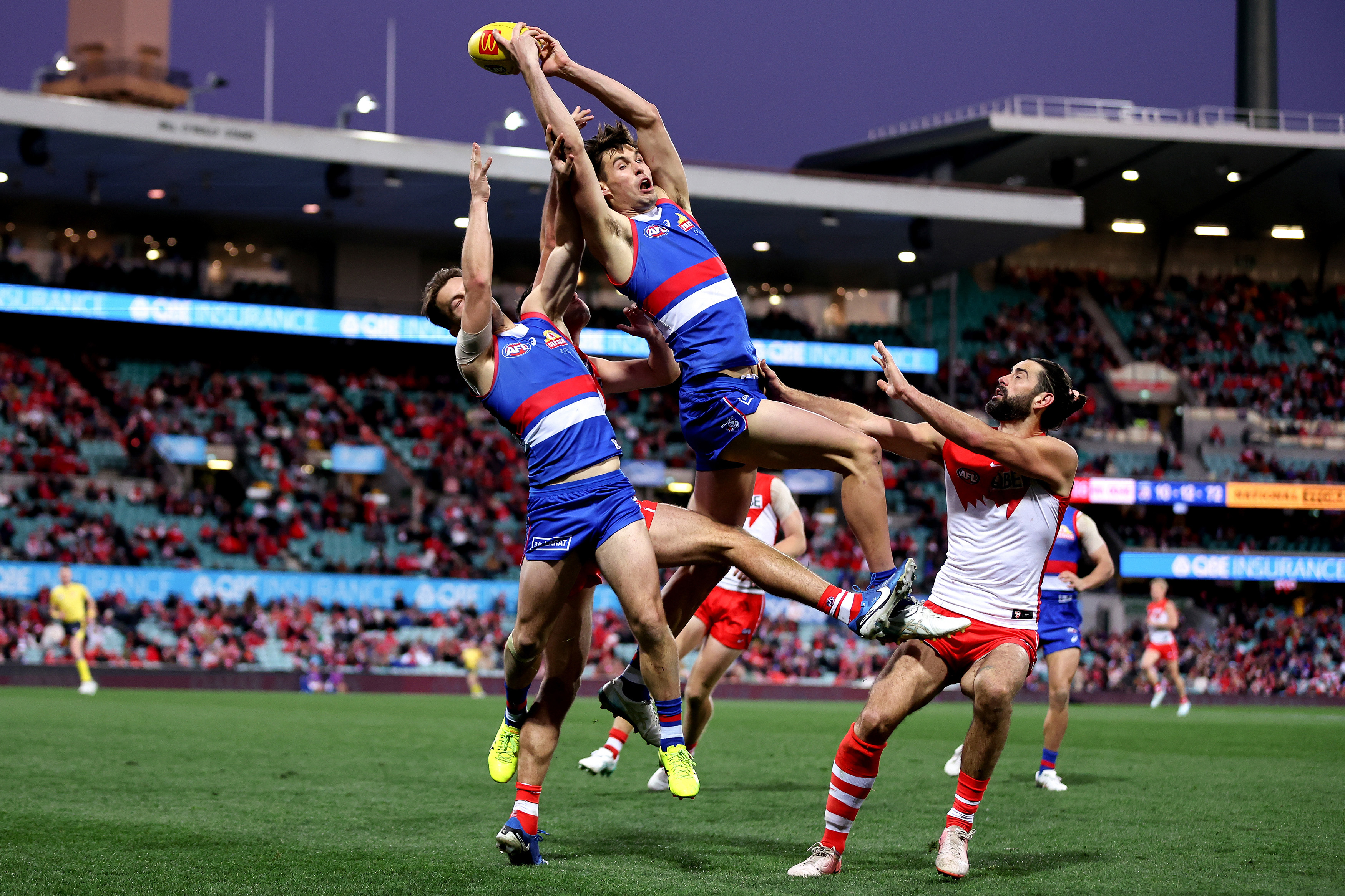 Bulldogs star Sam Darcy leaps for a mark against the Swans.