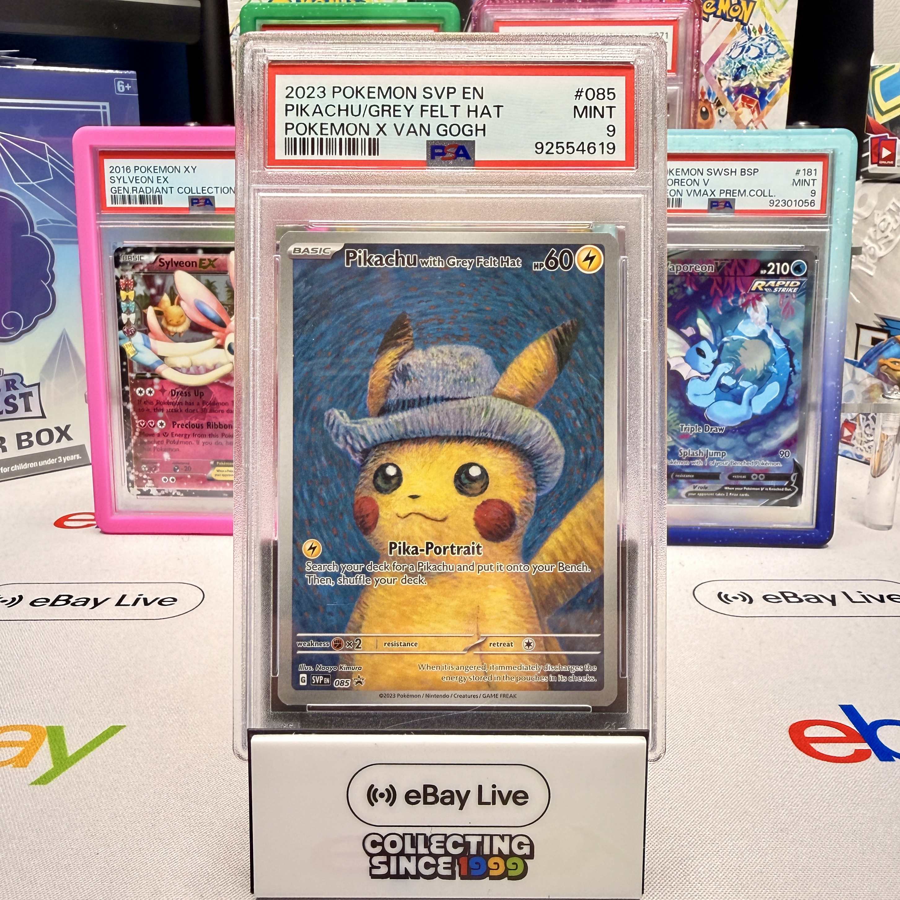 Lucy Hughes Pokemon card collector