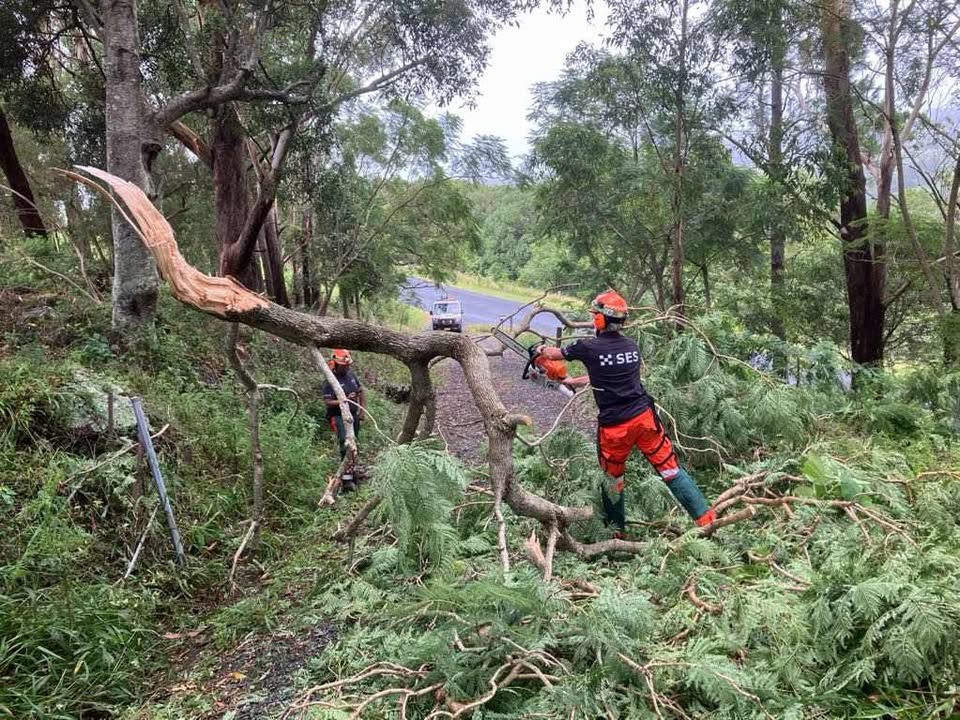 Rainfall 'the story and the focus' after cyclone crosses coast