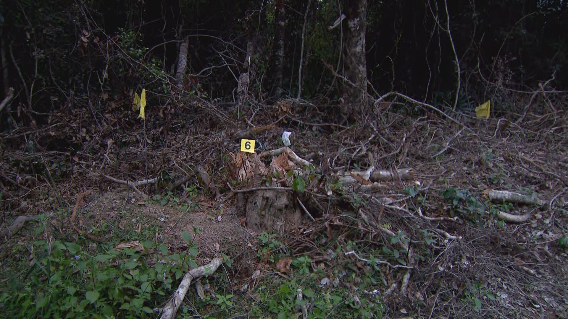 Fire and Rescue teams are preparing to fly a drone over ﻿the Good Scrub National Park just outside of Gin Gin, an hour away from where Bishop was last seen.