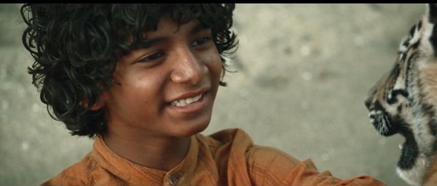 Sunny Pawar in The Tiger's Den