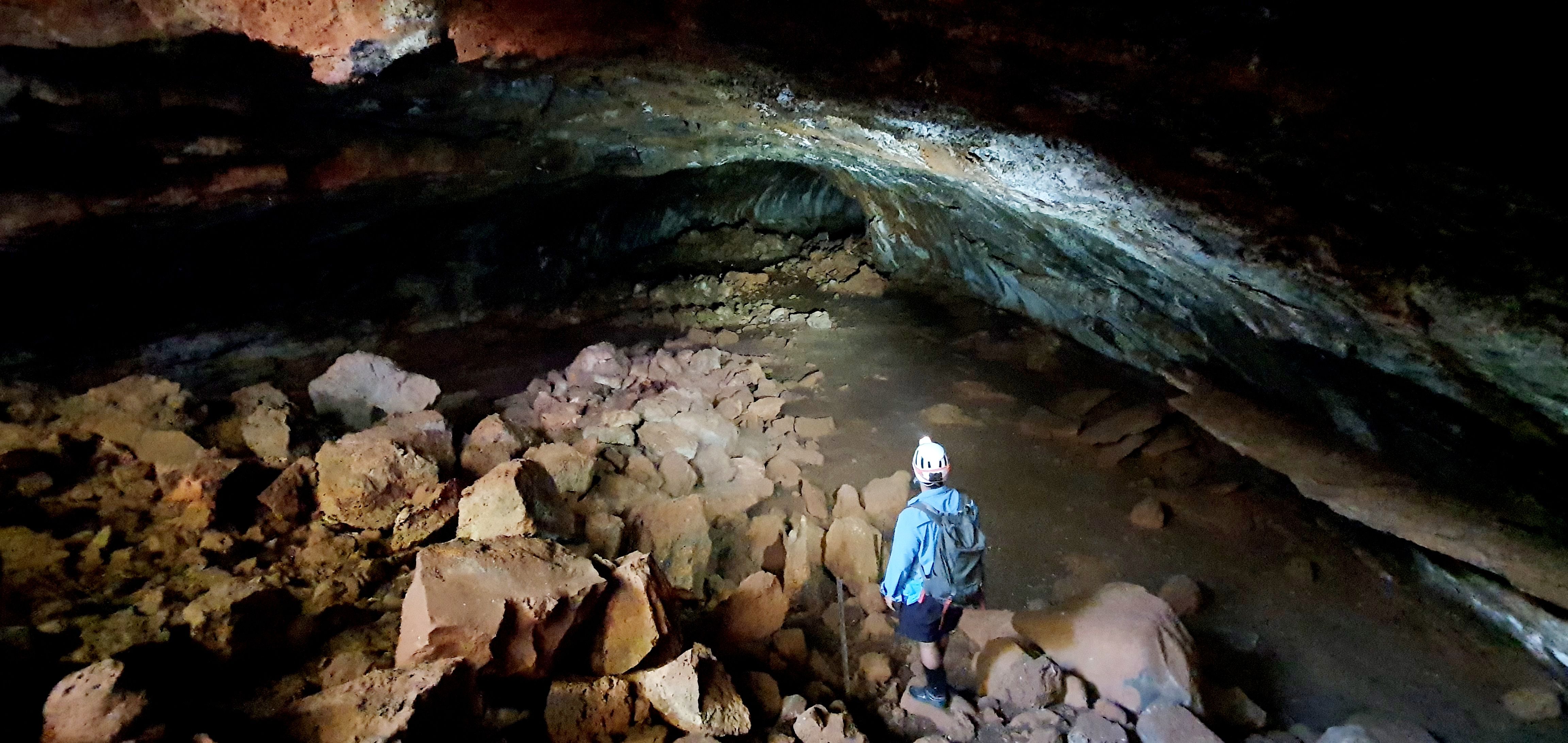 Lava caves within Queensland's Undara Volcanic National Park were a treasure trove for new insect species.