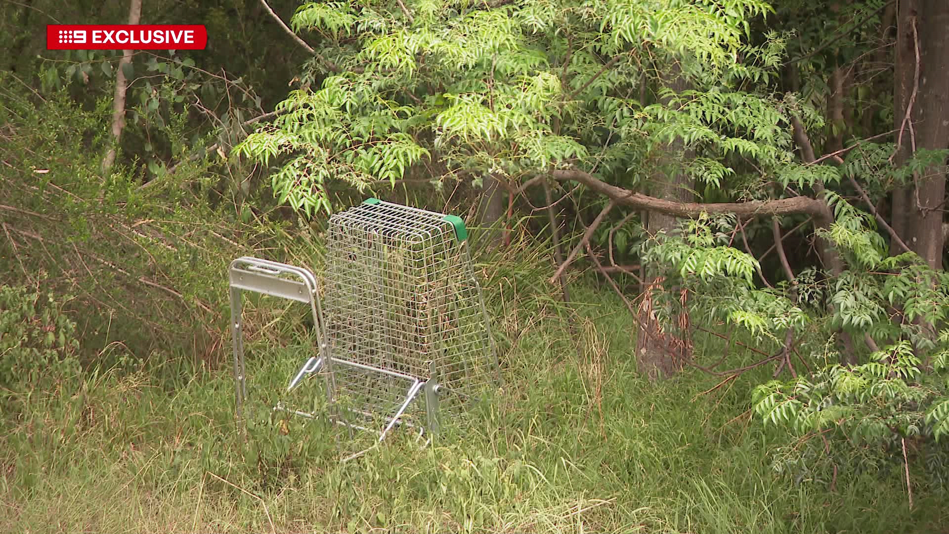 Council declares war on thousands of abandoned trolleys