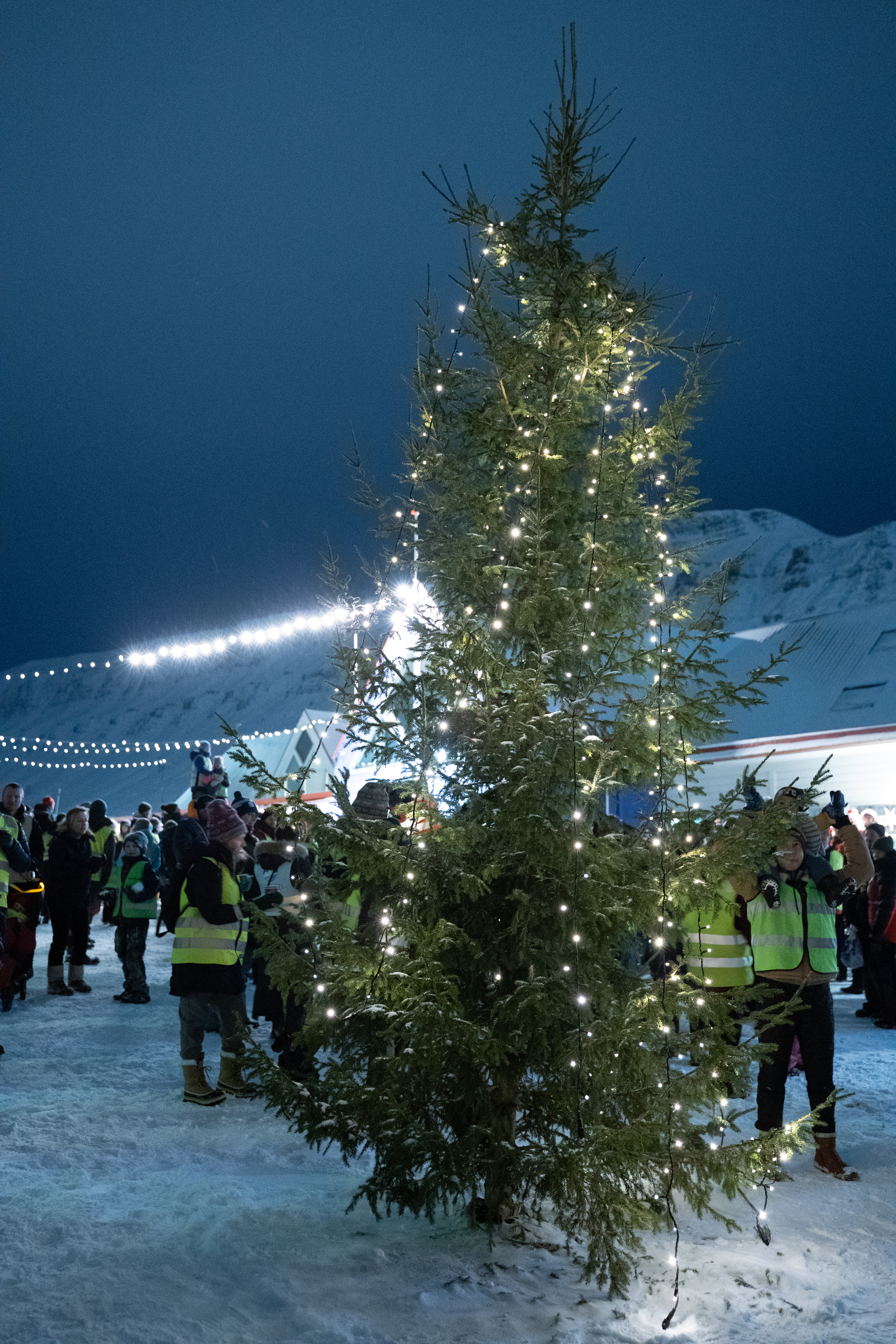Christmas tree in the town square, which was imported from northern Norway. 