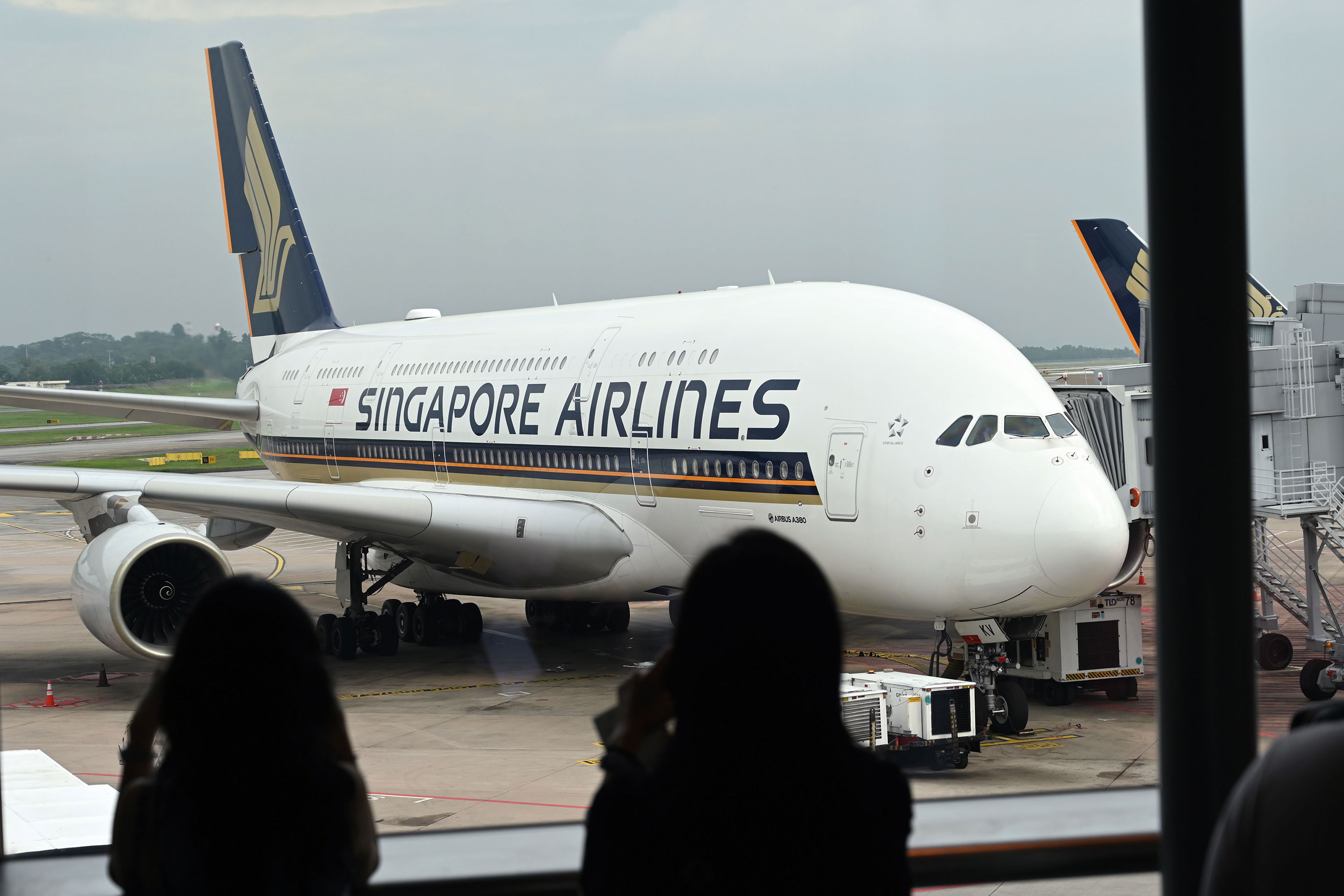 It's hard to imagine our skies without them now, but in 2007  Singapore Airlines carried out the first passenger flight of an Airbus A380. In doing so they re-wrote aviation history. The A380 is the largest passenger airliner in the world with room for 850 passengers.