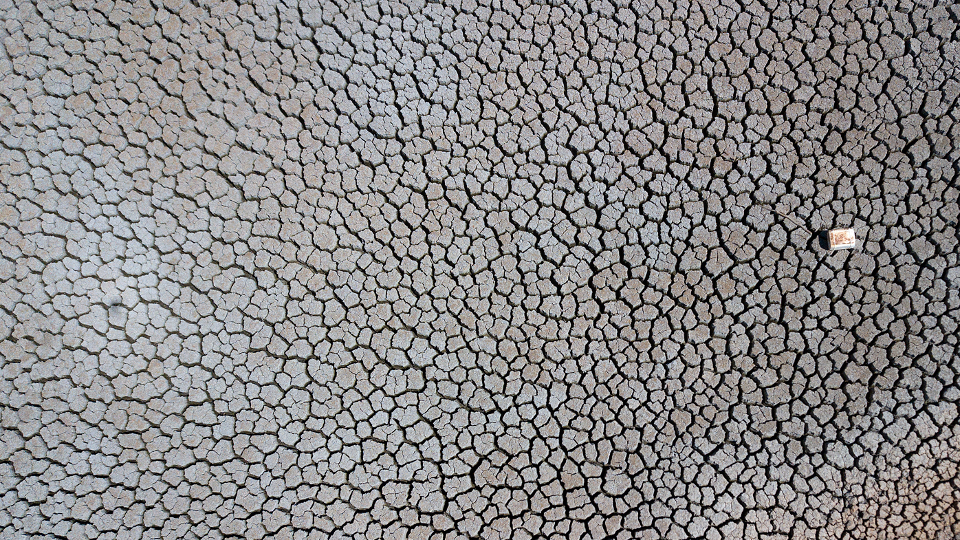 Drought devastation all too familiar to me - as is the resilience of the farmers - 9News