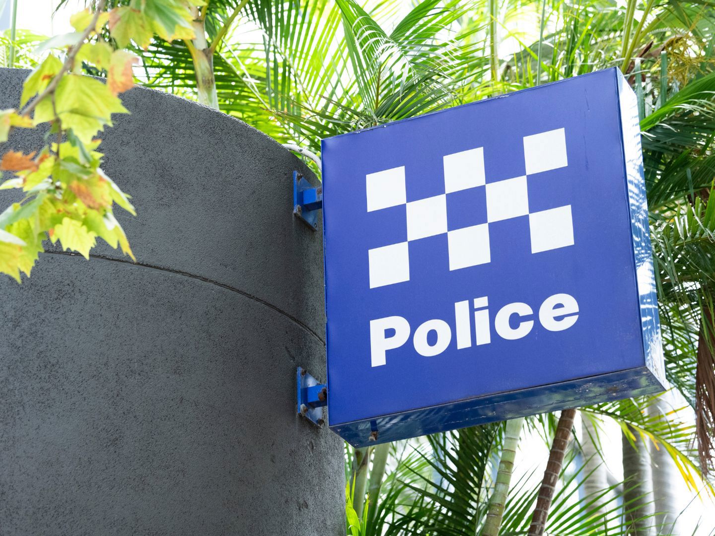 NSW police cells are overcrowded, top cop warns