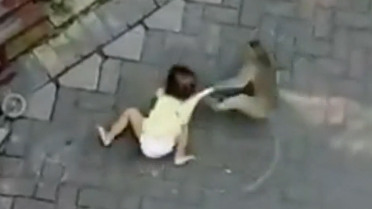 Monkey On Motorbike Tries To Steal Toddler Video From Indonesia