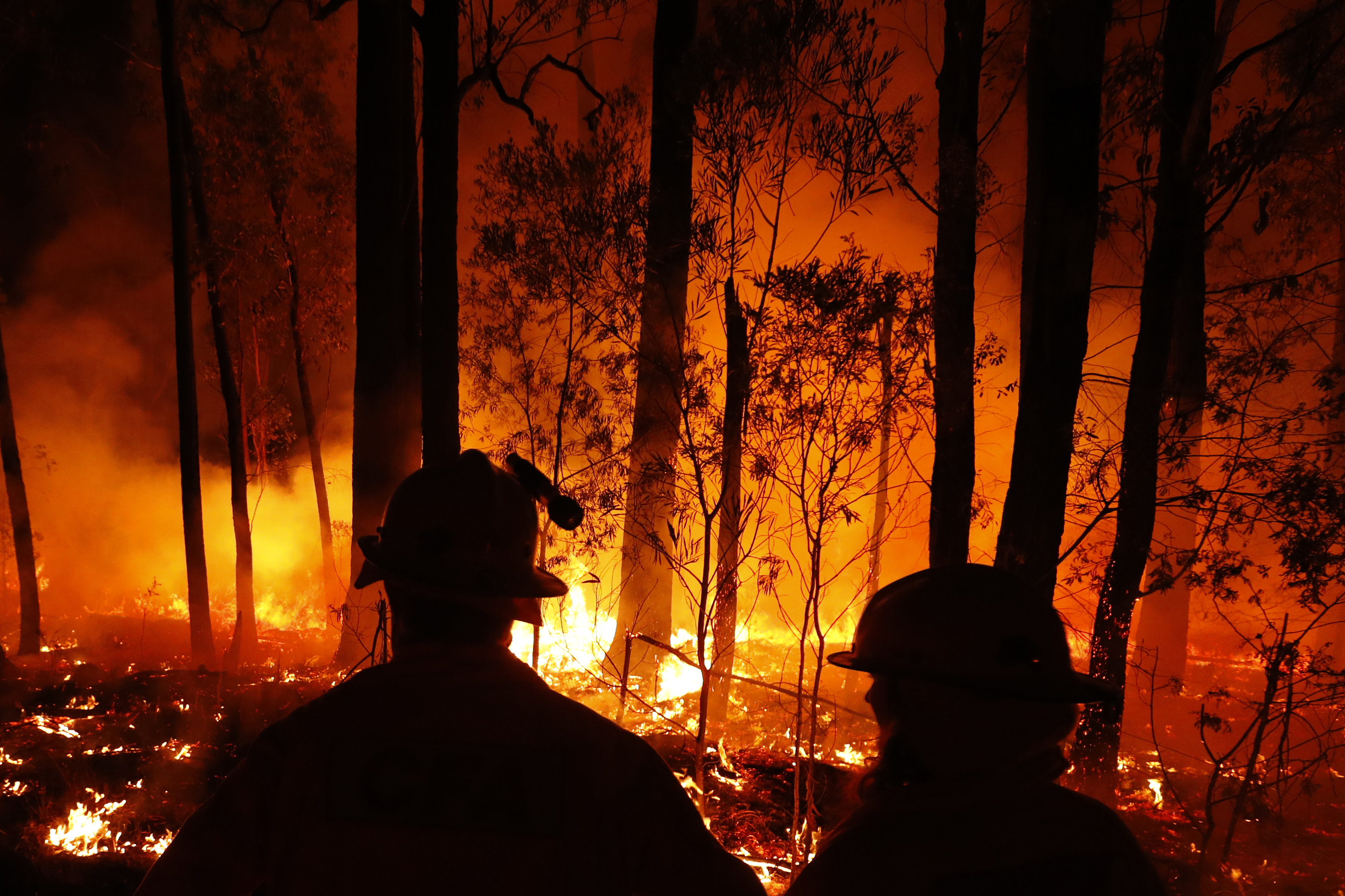 CFA crews monitor bushfires and begin back burns between the towns of Orbost and Lakes Entrance in east Gipplsland on January 02, 2020 in Australia. 