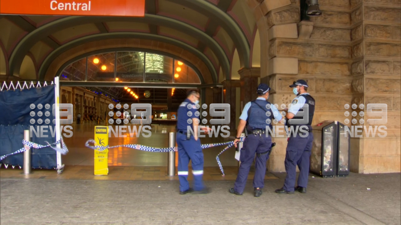 A man has been charged following an alleged domestic violence-related stabbing at Sydney's Central Railway Station.