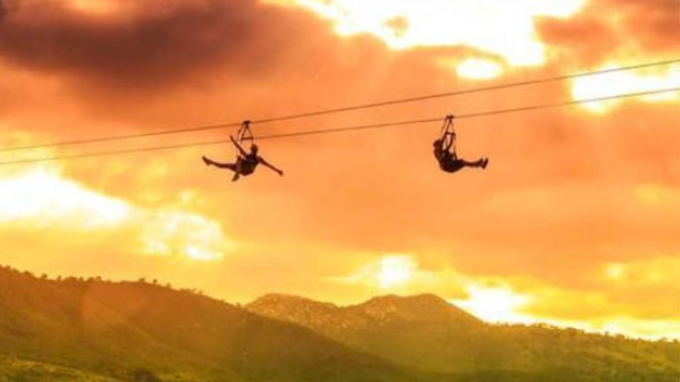 The zipline is a popular tourist attraction in San Diego.