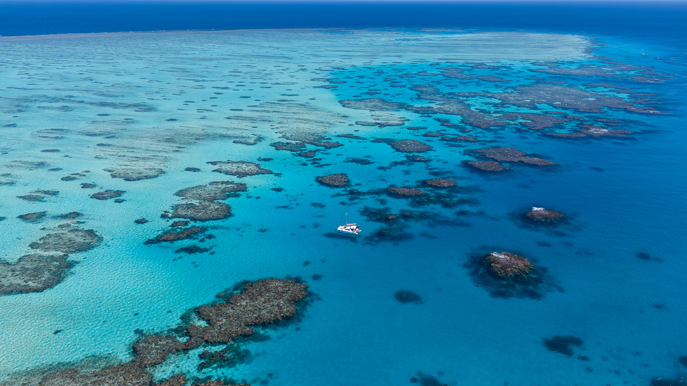 Foreign tourists drown near Great Barrier Reef