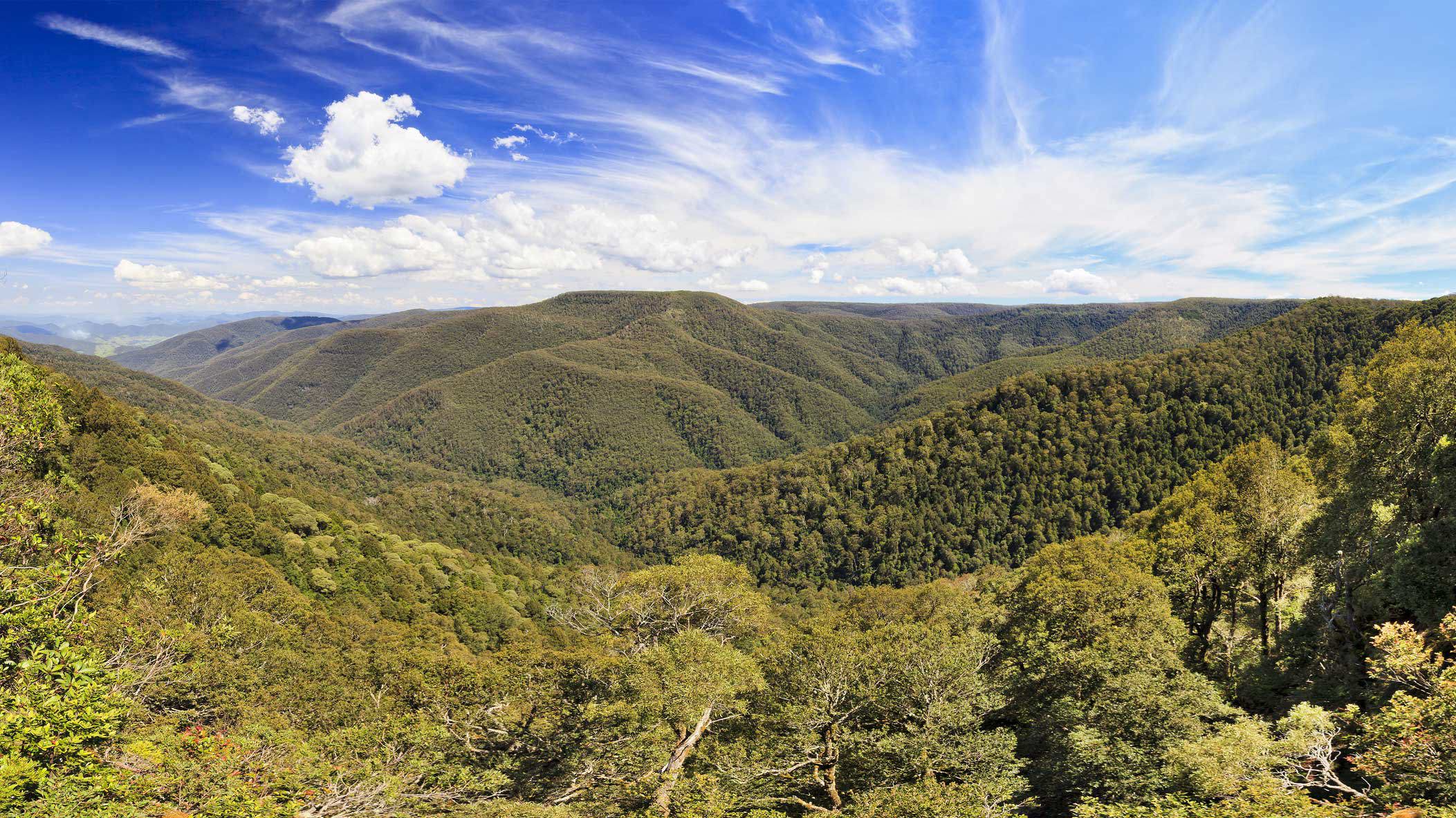 The vast and impenetrable bushland of Barrington Tops National Park has hampered searches for the VH-DDX over the years.