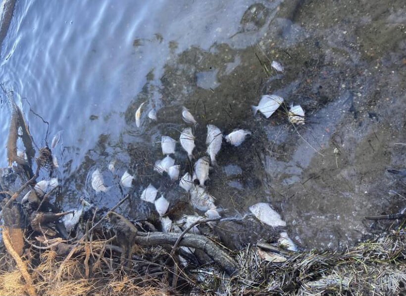The EPA are investigating the cause of death.