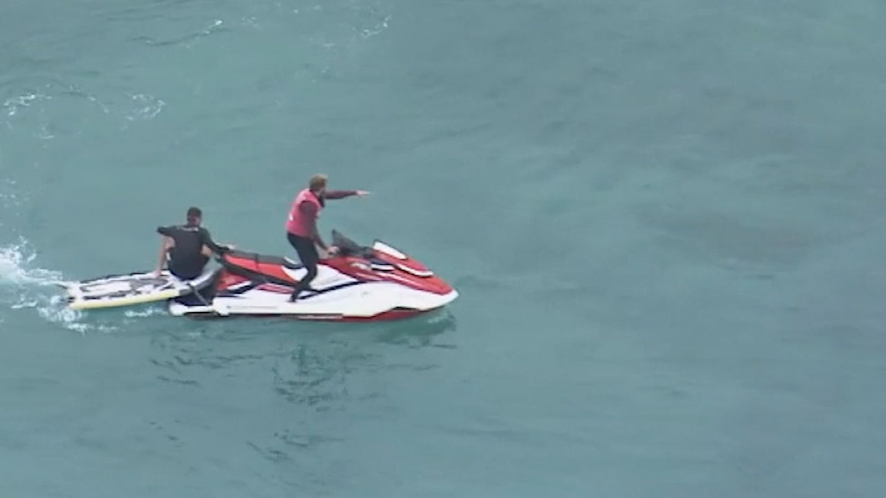 Lifeguards at Bondi cleared the water once they were aware of the sharks.