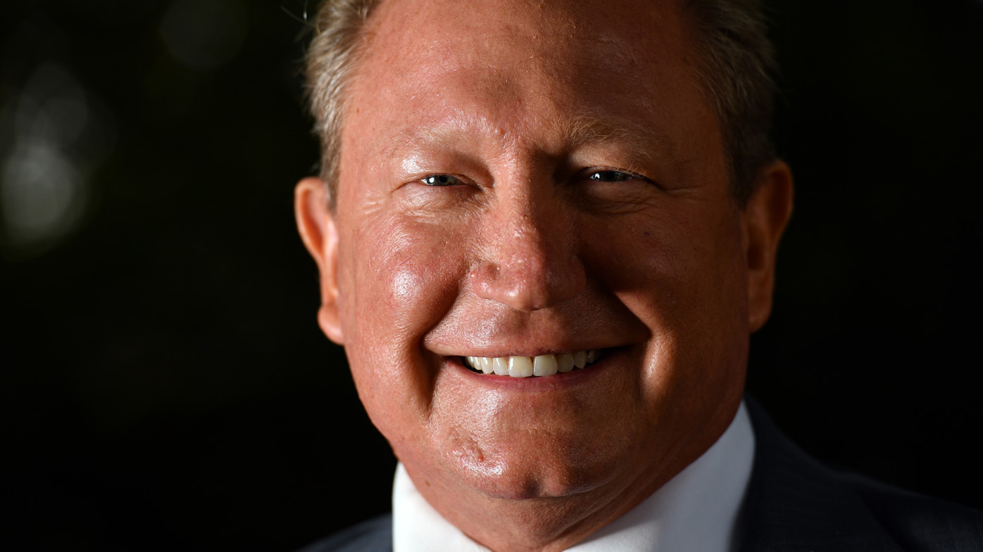 Australian mining billionaire Andrew Forrest pushes new aid system for Gaza