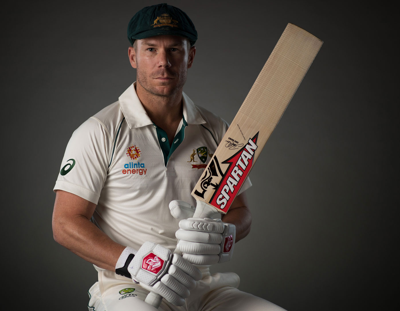 David Warner, Australian cricket The truth about batsman post