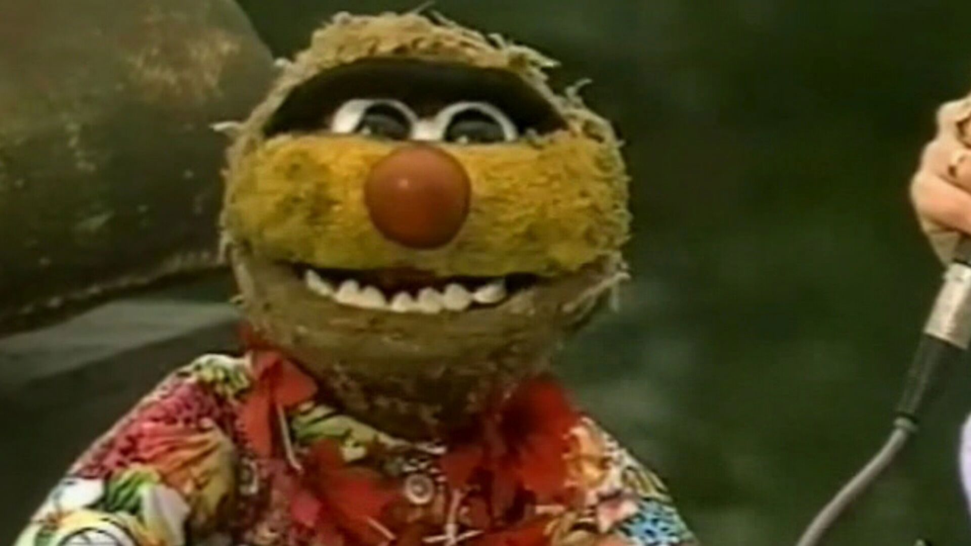 Jamie Dunn's work with Agro was captured the hearts of many Australians.