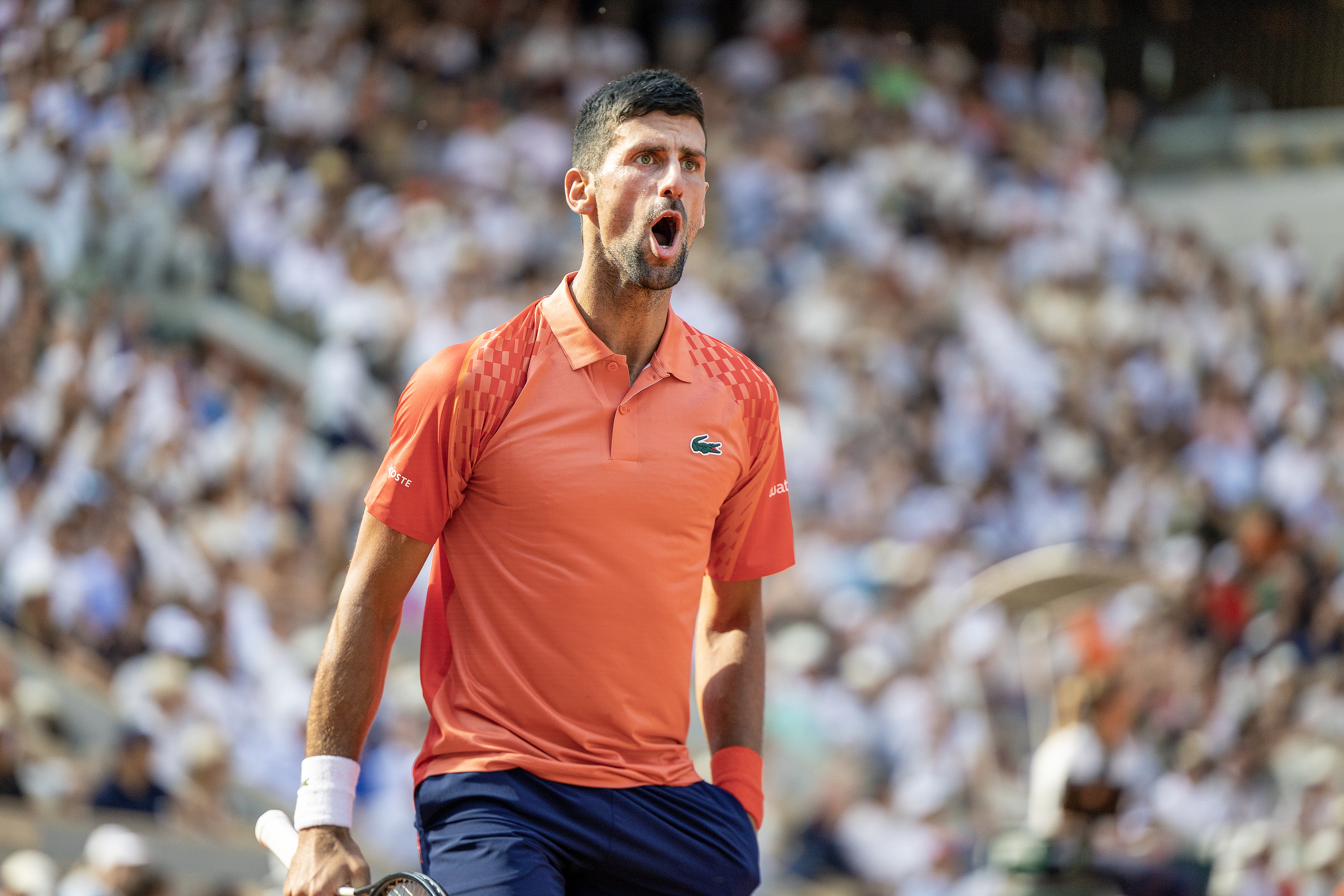 French Open 2023 Novak Djokovic vs Casper Ruud mens final preview, grand slam predictions