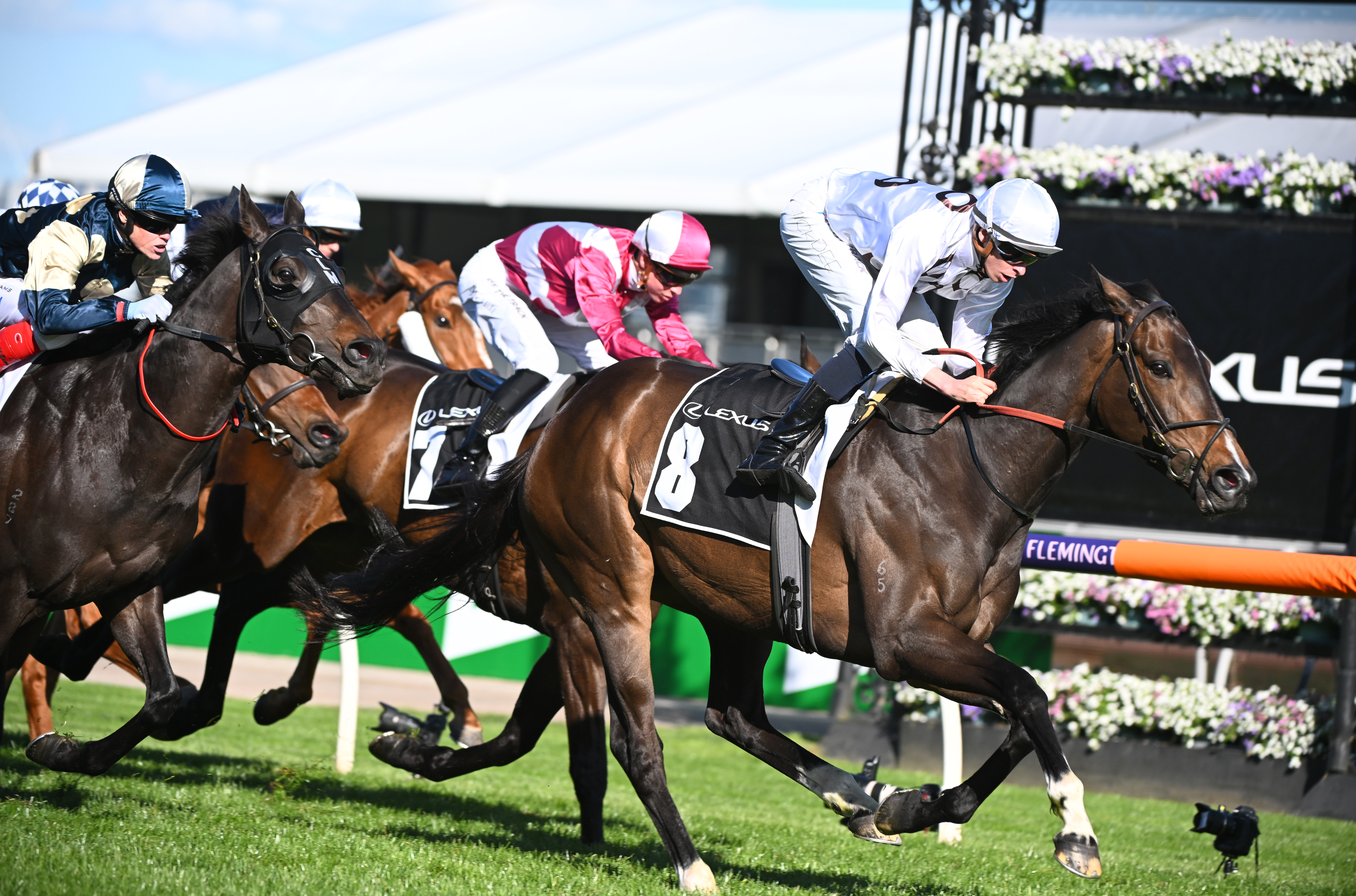 Michael Dee riding Lunar Flare winning Race 6, the The Lexus Bart Cummings, during Turnbull Stakes Day at Flemington Racecourse on October 01, 2022 in Melbourne, Australia. (Photo by Vince Caligiuri/Getty Images)