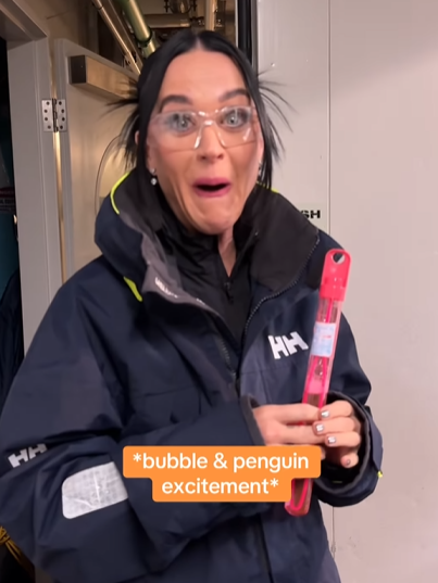 Katy Perry meets pesto the penguin in Melbourne