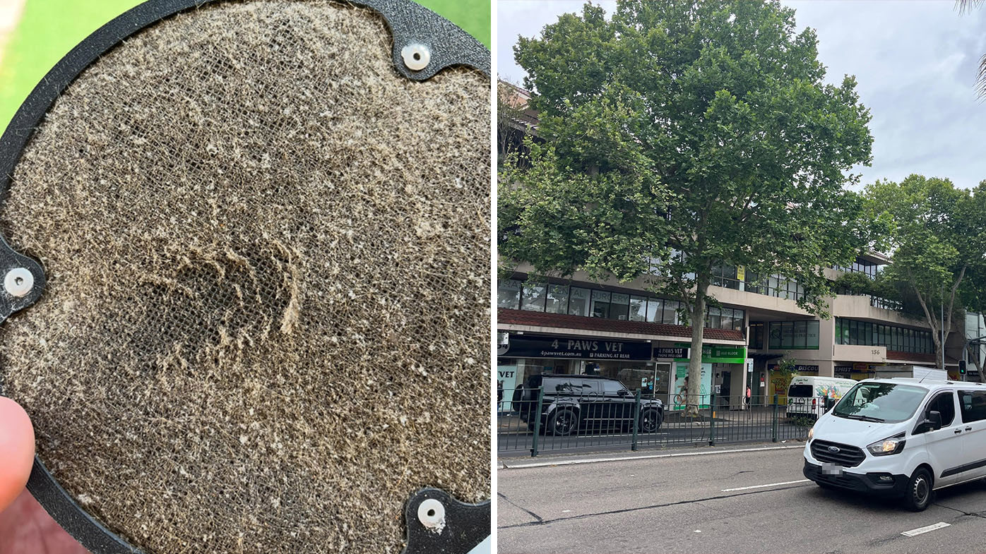 The filter on the fan Aden Barclay relies on in summer is constantly caked in plane tree dust.