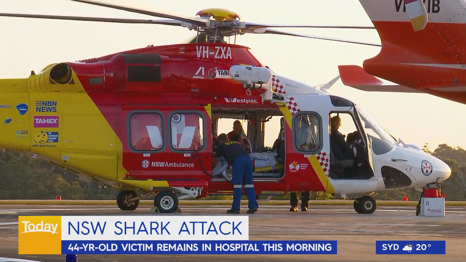 Port Macquarie shark attack