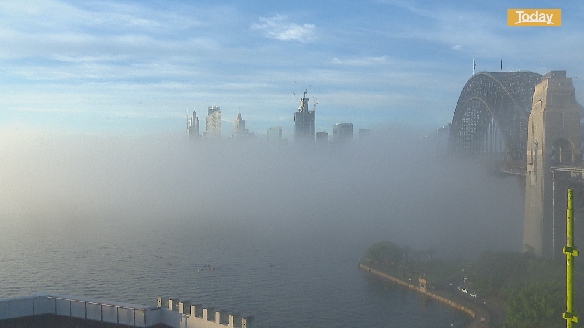 Sydney fog