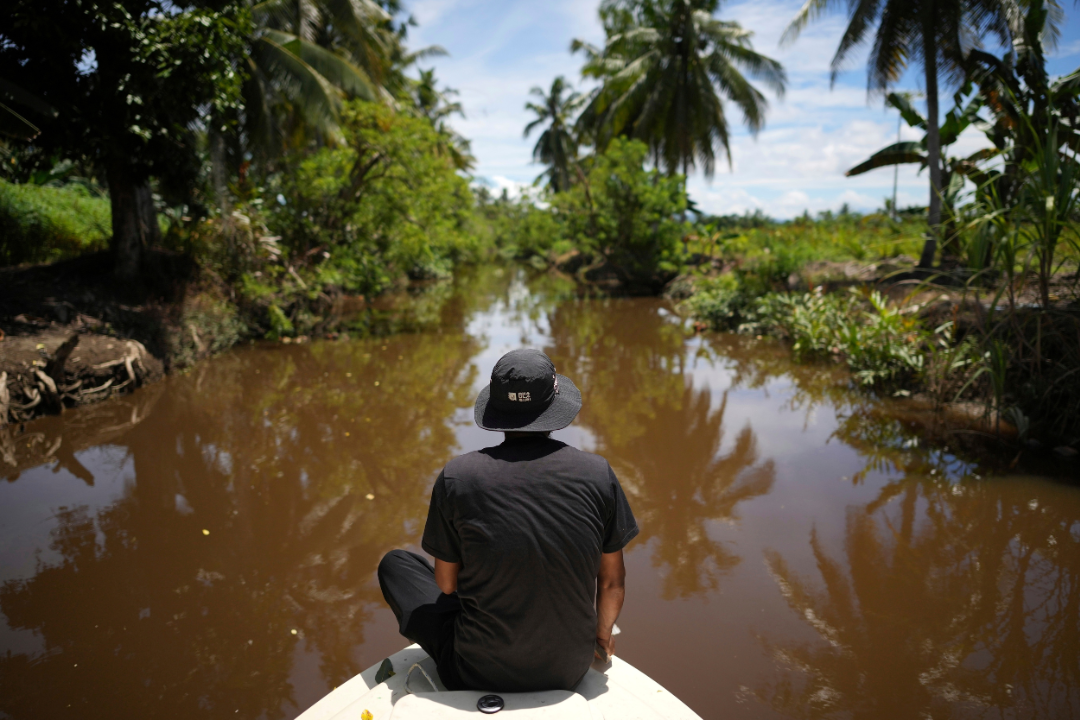 Rusli Paraili, a crocodile handler, sits on the bow of a boat while looking for crocodiles on a river in Budong-Budong