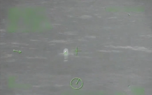 A man has been rescued after falling overboard a cruise ship. 