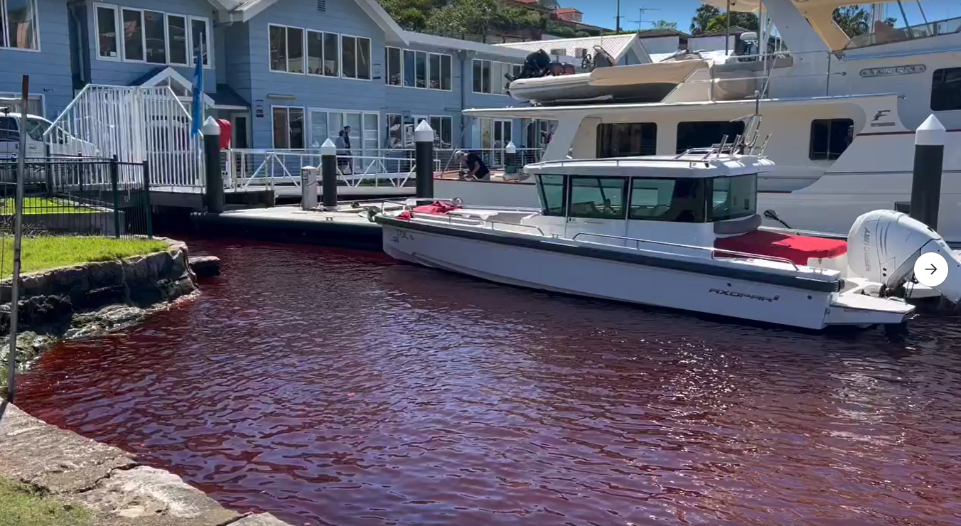 A bay of water that runs into Sydney Habour has mysteriously turned red this morning. ﻿Locals discovered ﻿Careening Cove, beside Milson Park at Kirribilli, had changed colour. 