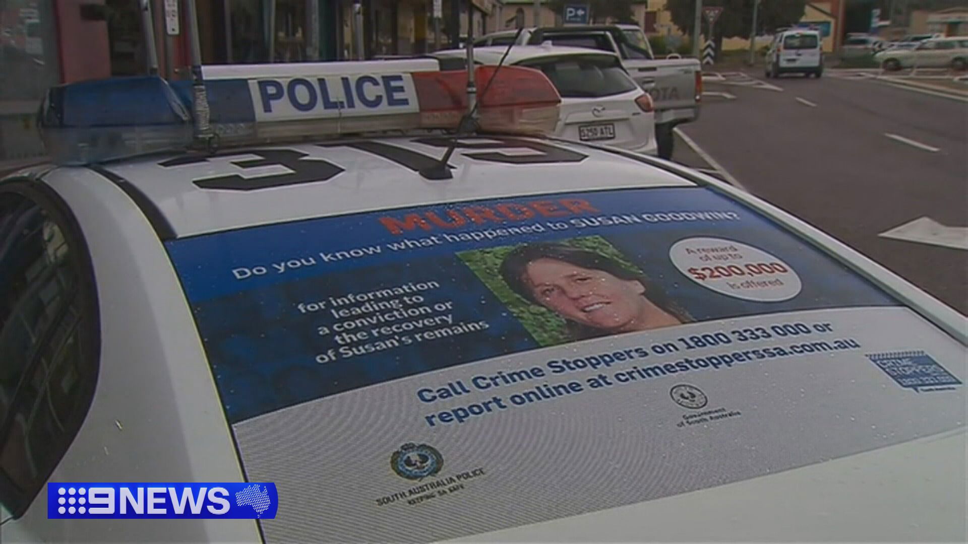 Susan Goodwin was last seen at her local Coles and Woolworths in July 2002.