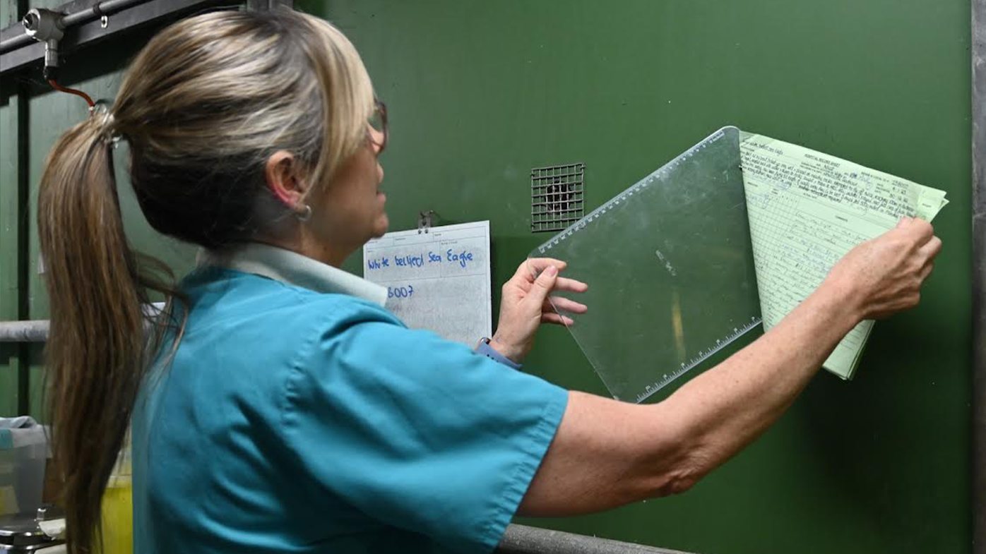 Liz Arthur reads the chart of one the wildlife hospital's patients before she checks in on the animal.