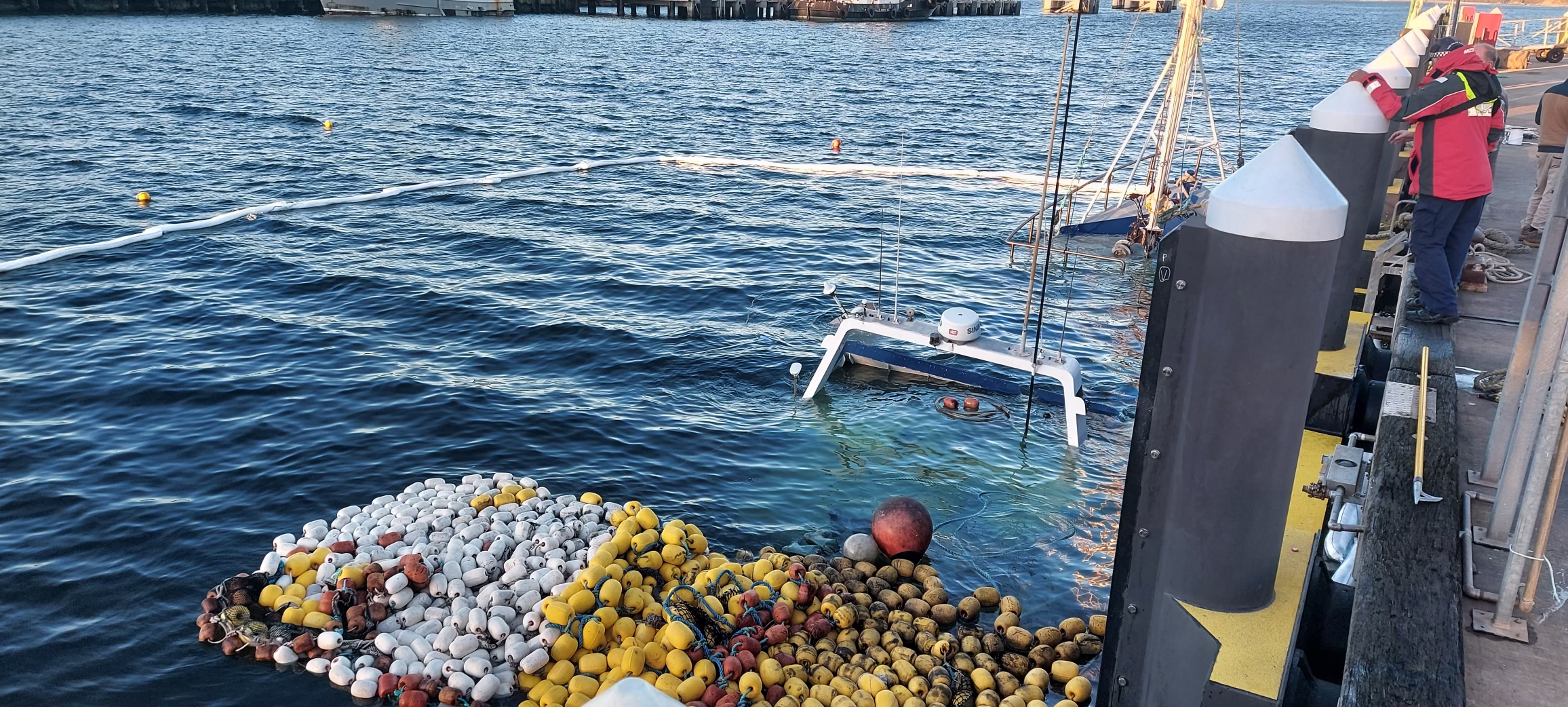 Schools of salmon have unintentionally returned to their domain after a trawler carrying 50 tonnes worth sank on the NSW south coast this morning.
