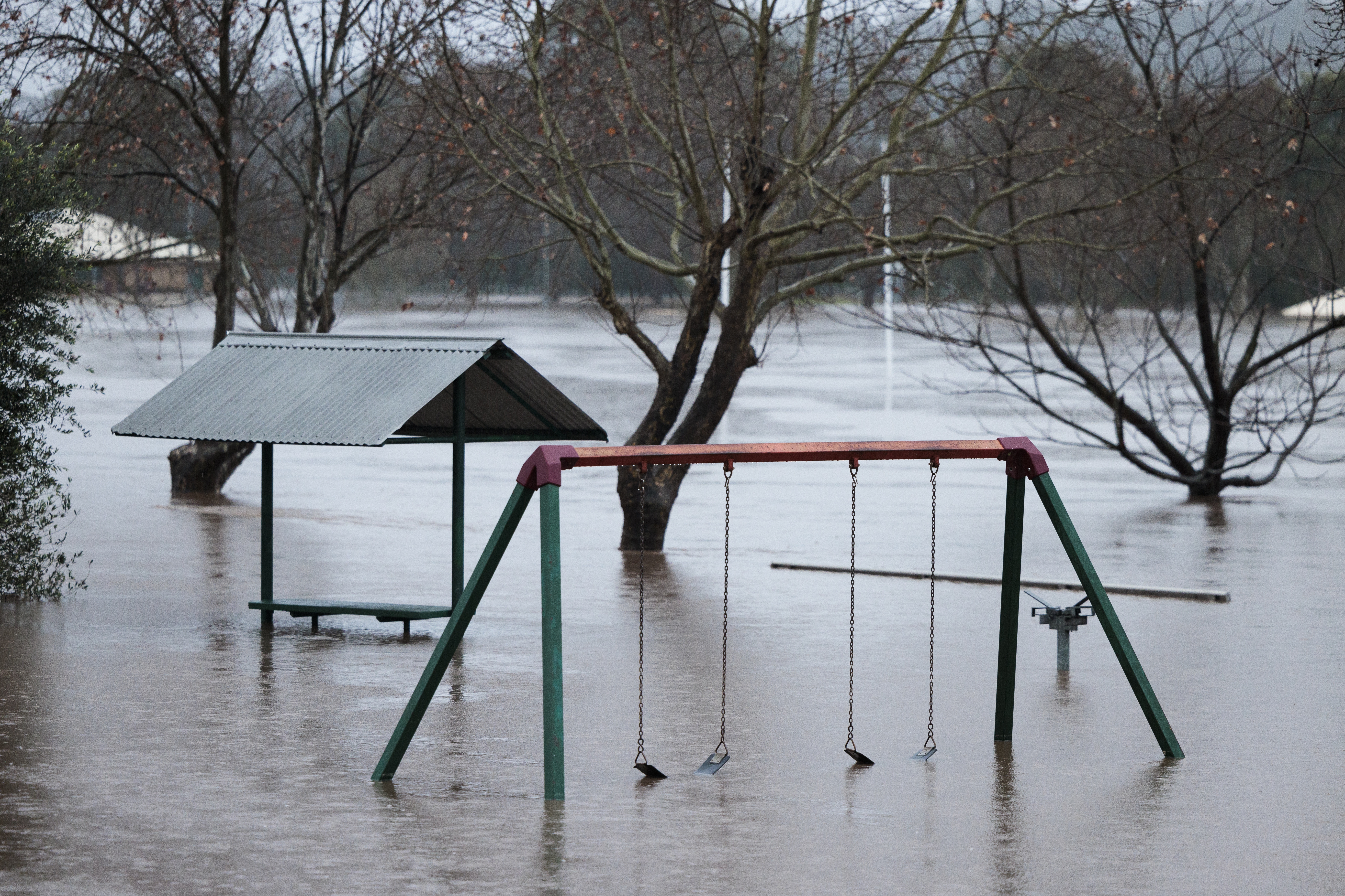 Low-lying parts of Singleton are inundated by flood waters along the Hunter River.