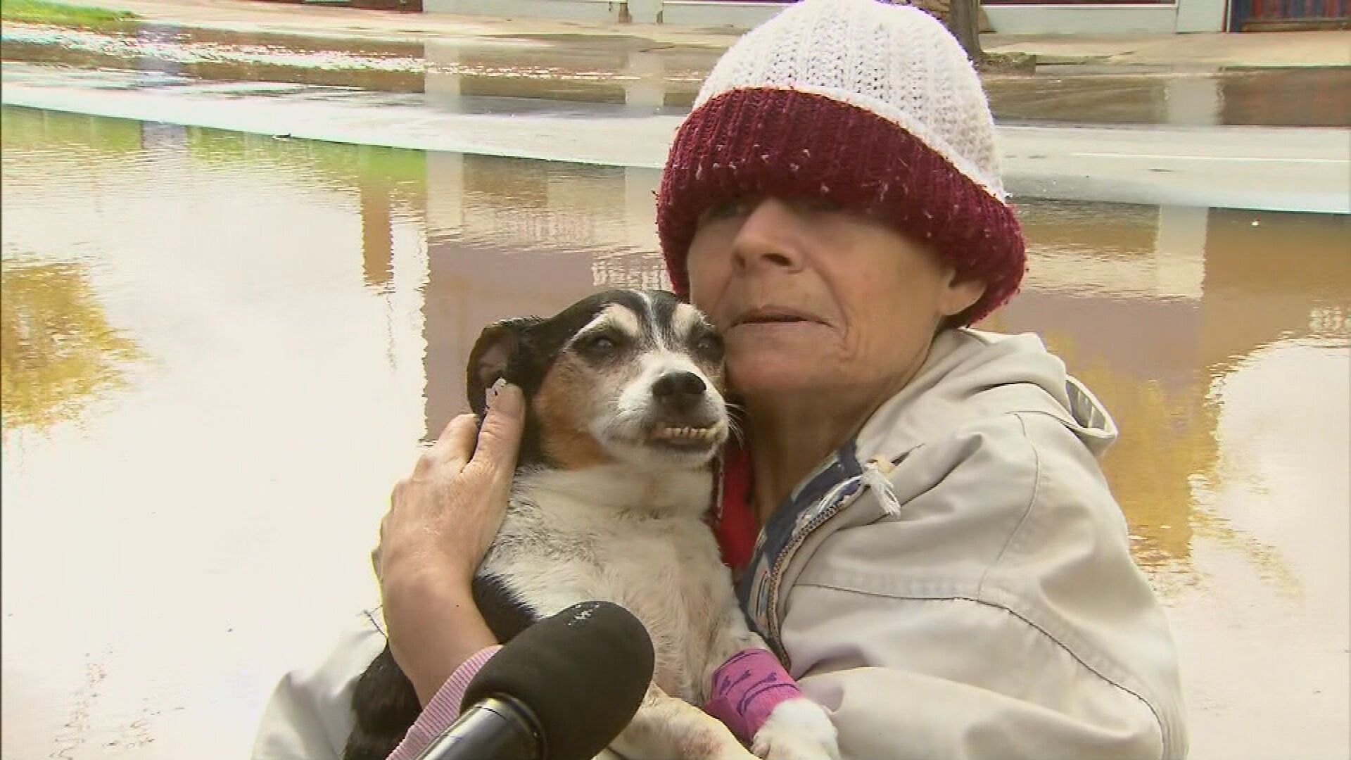 Woman trapped in Rochester floodwaters reunited with dying dog. Victoria floods.