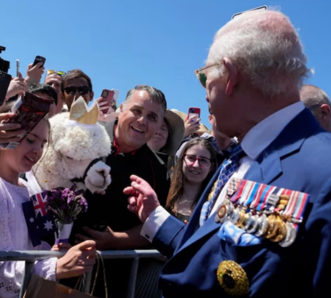 Hephner the alpaca captured hearts around the country when he sneezed on King Charles