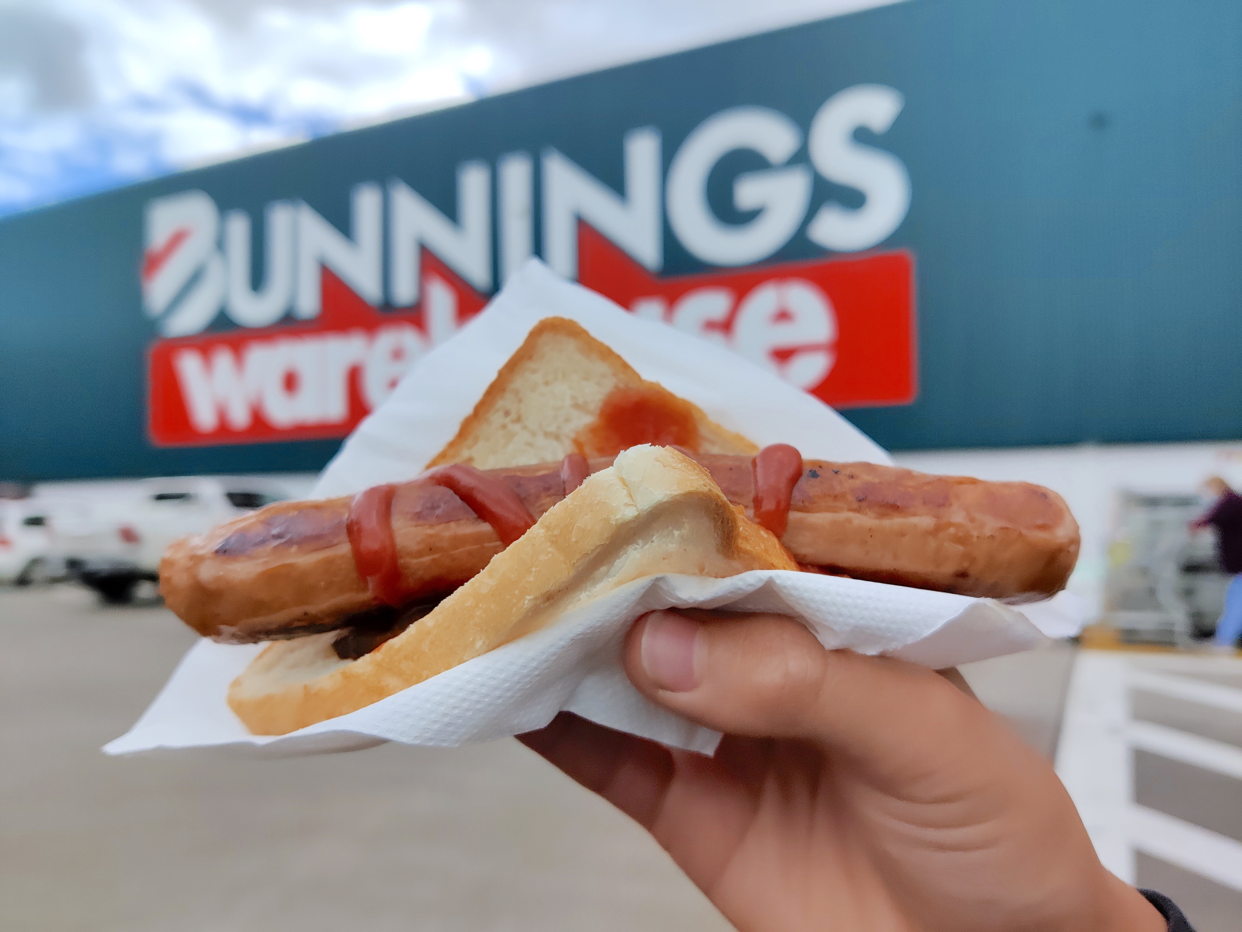 Bunnings barbeque hotsell