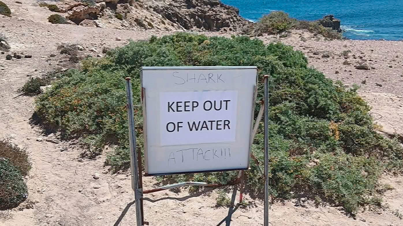 shark attack Elliston Eyre Peninsula South Australia