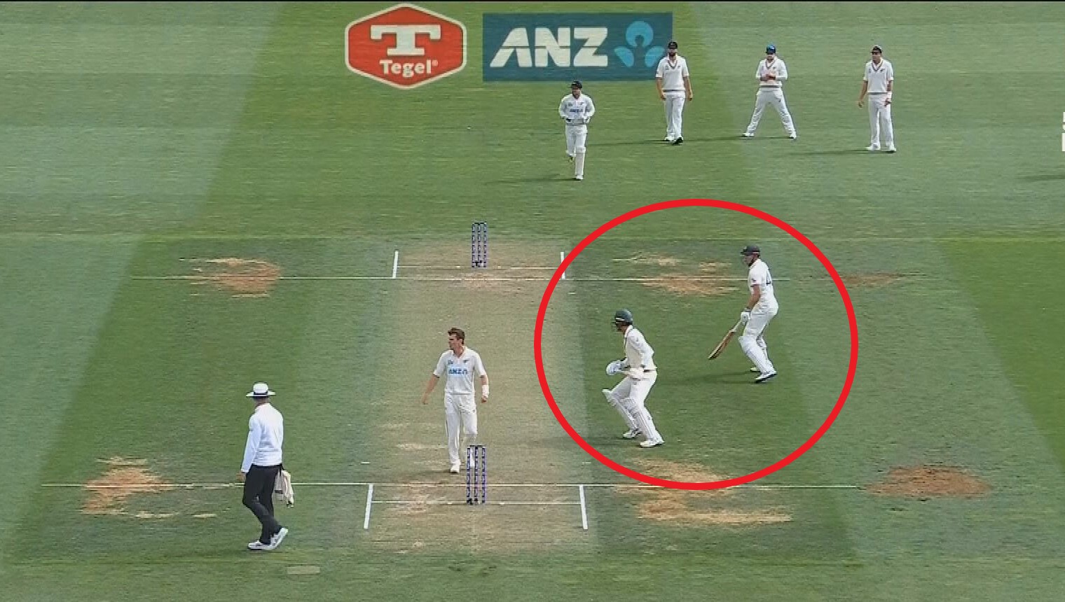 Josh Hazlewood and Cameron Green got confused mid-run.