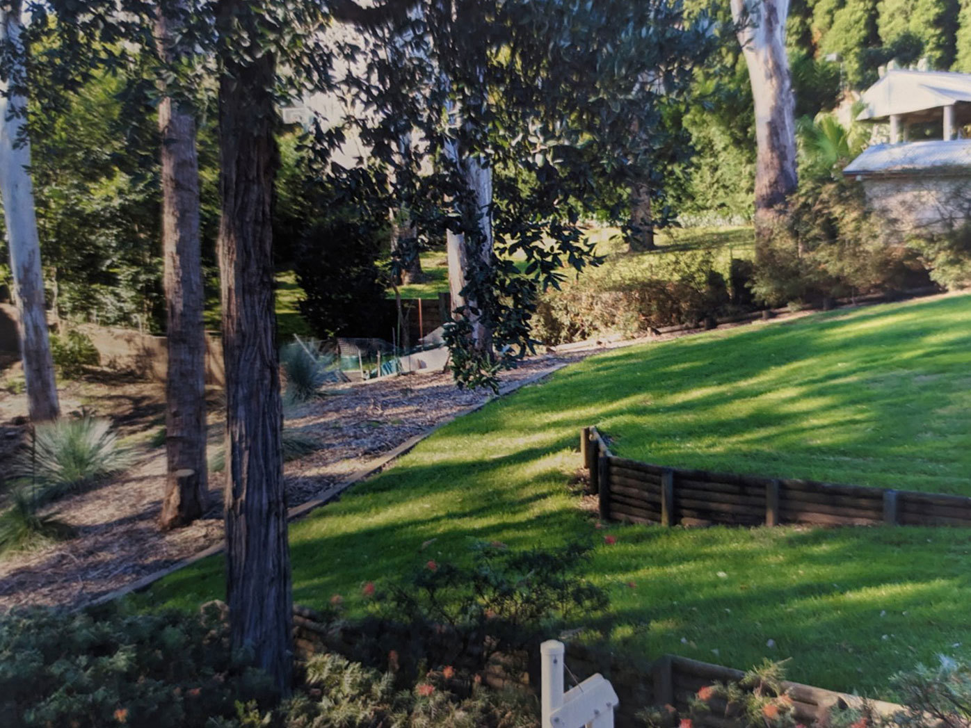 A view of garden in The Hills District, Sydney known for ticks