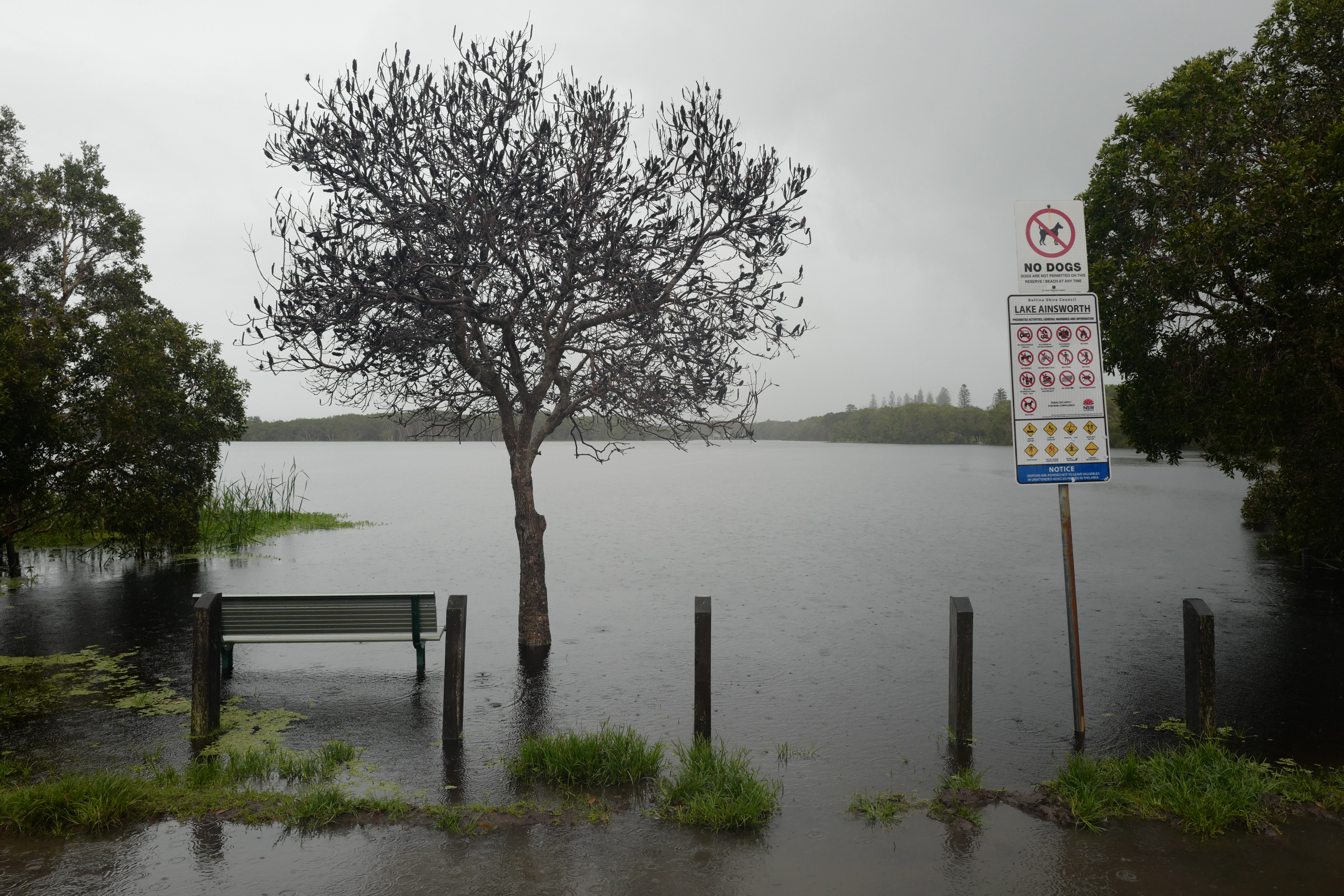 La Niña, the weather event behind increased rain and flash flooding in Australia, has officially ended, according to meteorologists.