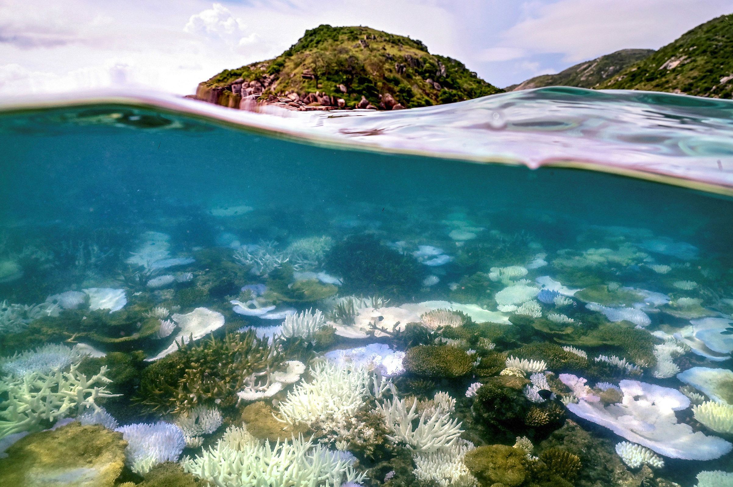 The Great Barrier Reef is facing 'catastrophic' risks – don't despair