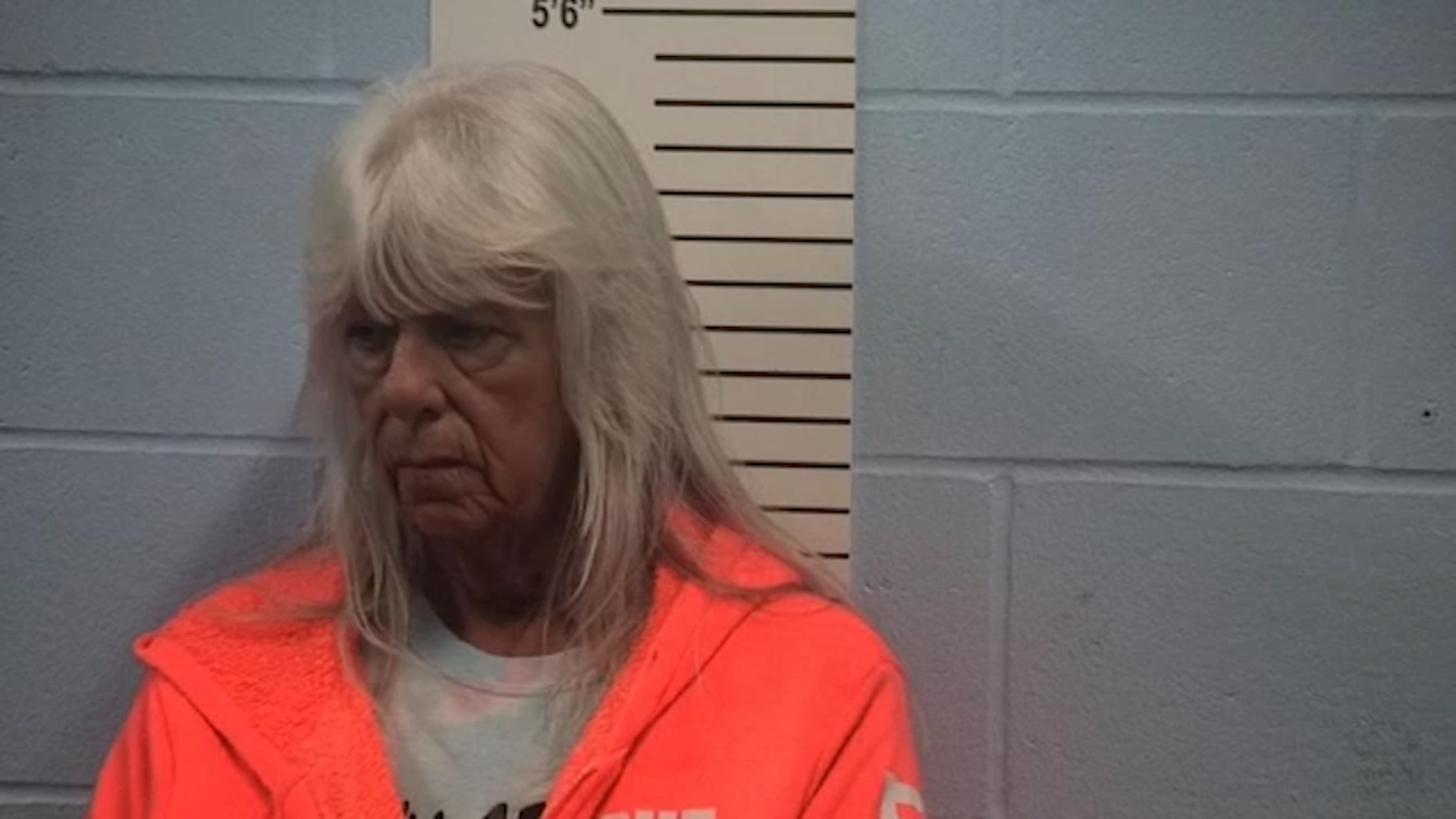 Foster mum accused of trading young girl for monkey