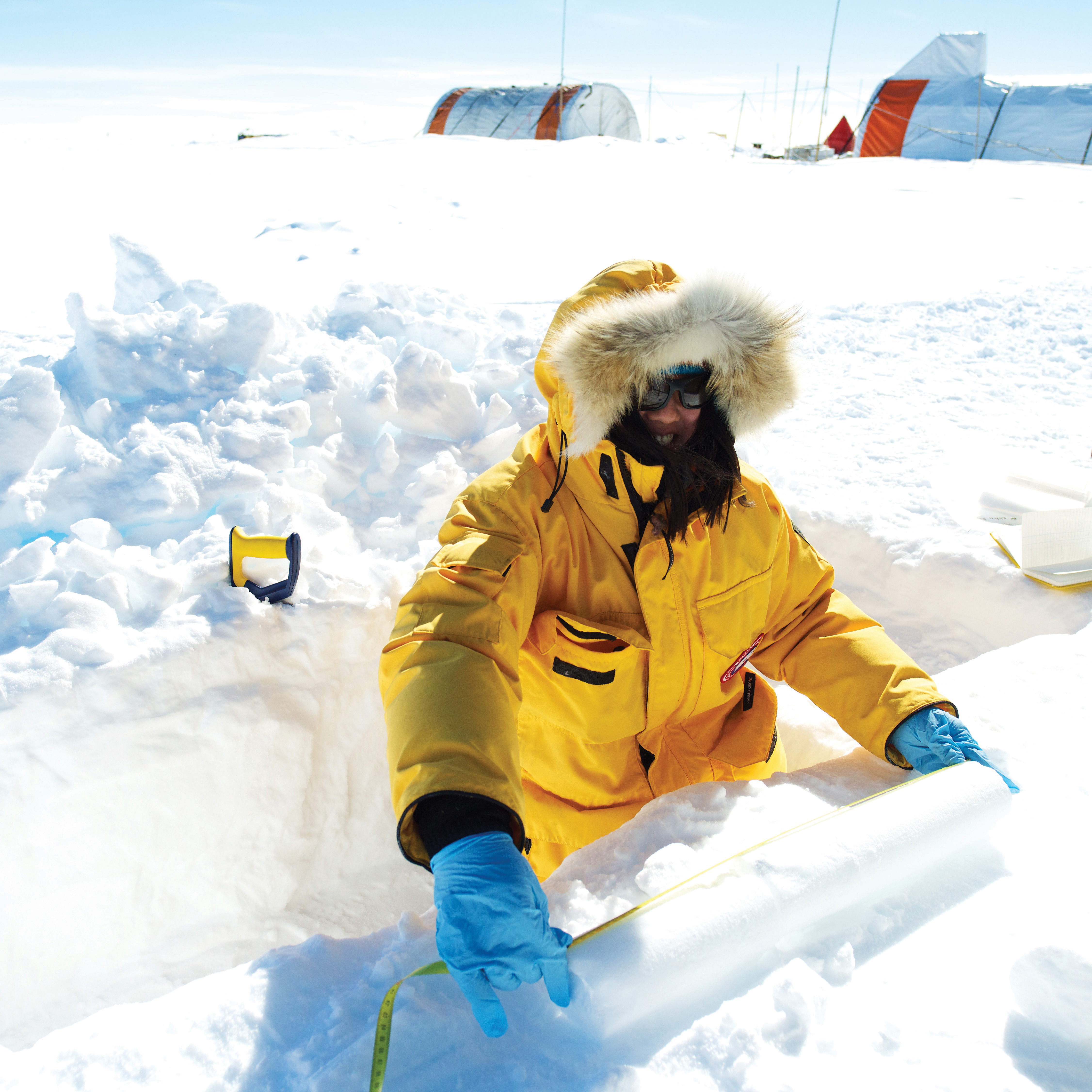 The ice cores contain will give a snapshot of the atmosphere from one million years ago. 