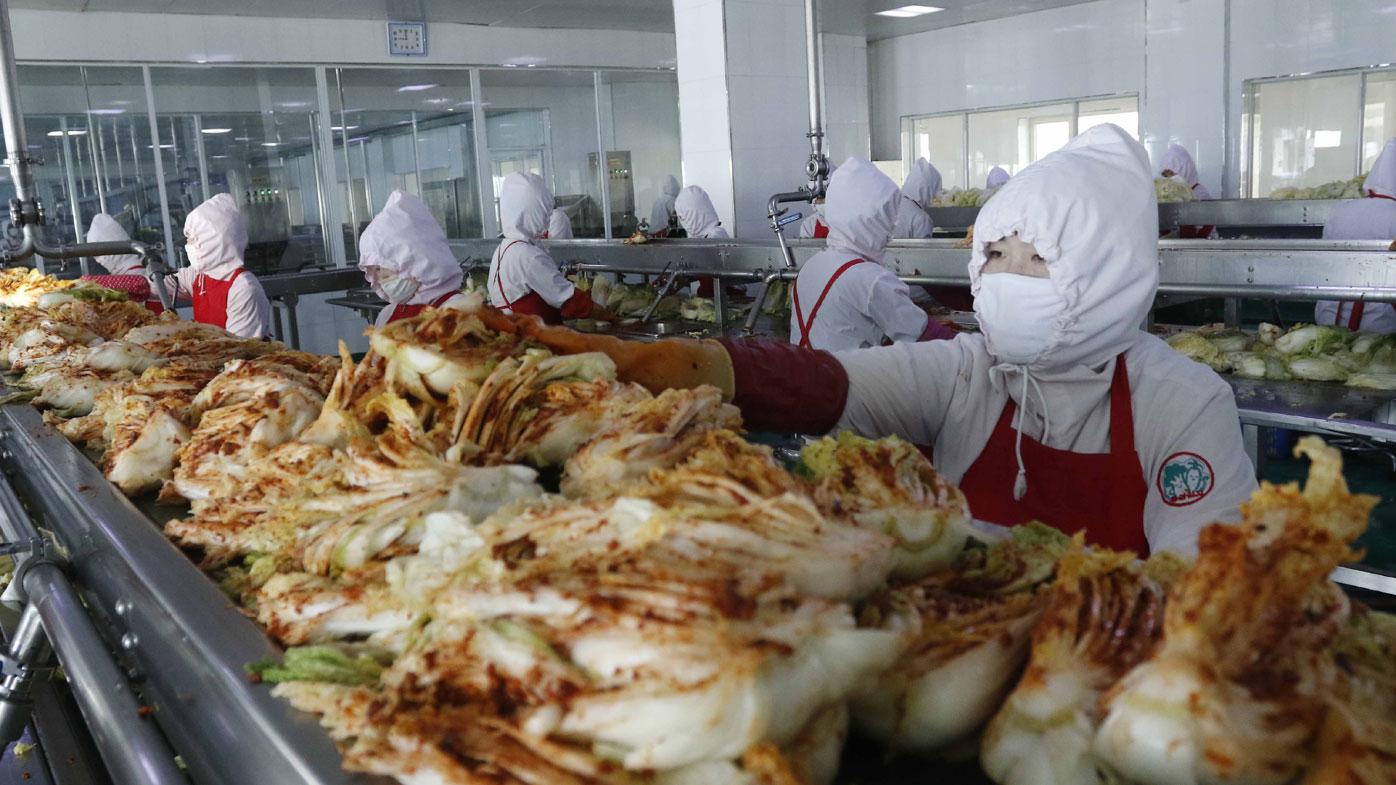 A kimchi factory in Pyongyang, North Korea.