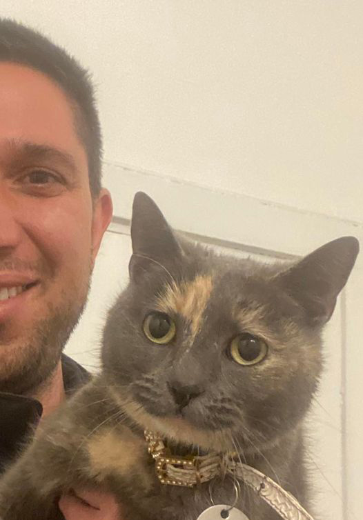 Tara the missing cat has been found in Bondi, Sydney.