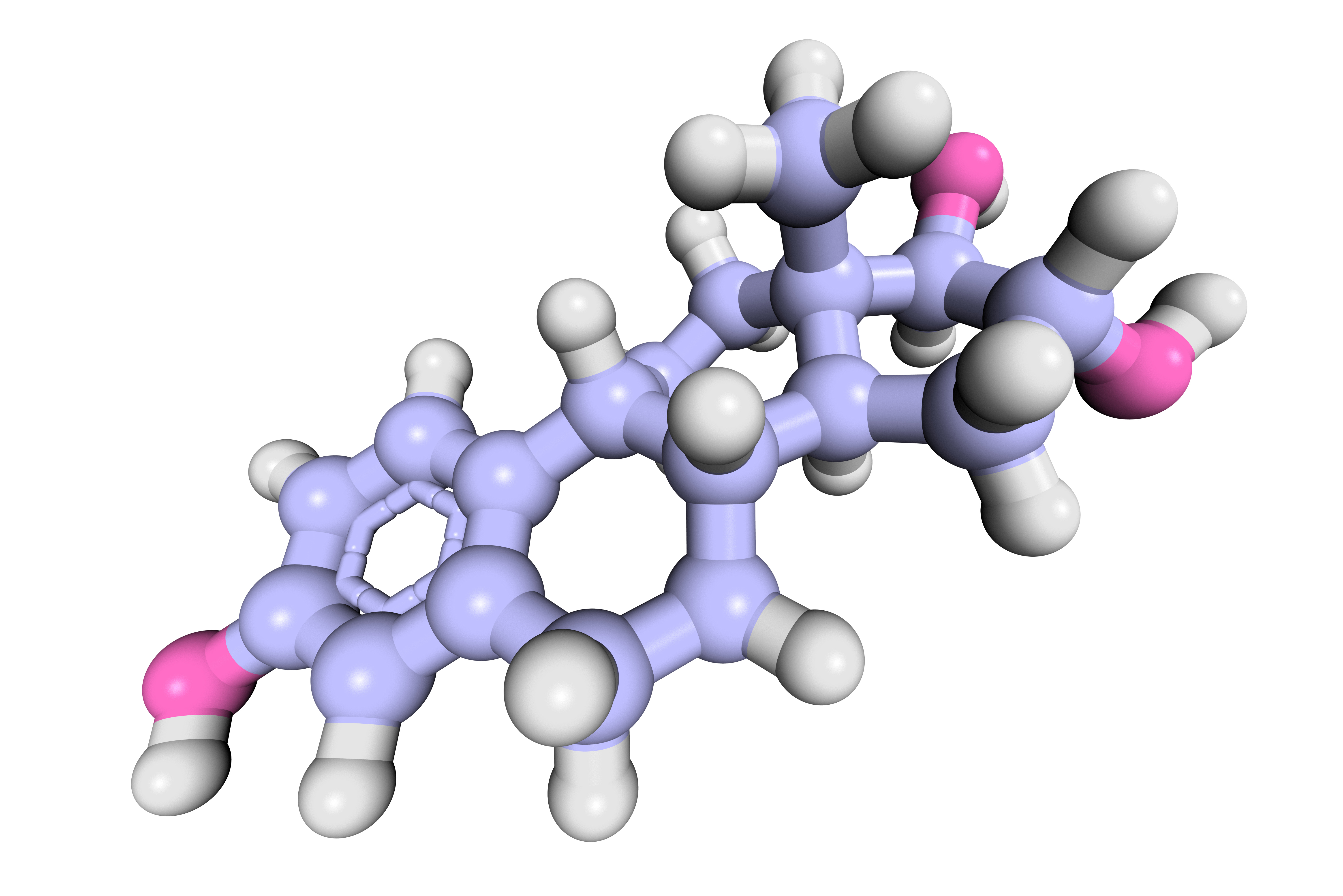 Estrogen, generally higher in female bodies, also confers a variety of immune advantages.