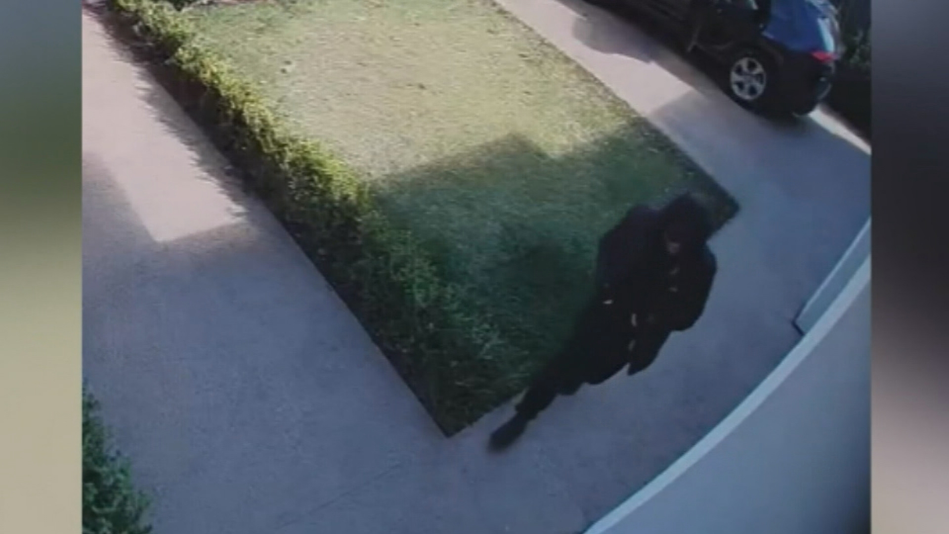 A thief can be seen hiding underneath a dark hood in broad daylight in the CCTV footage, as he forces his way through Lee's front door.